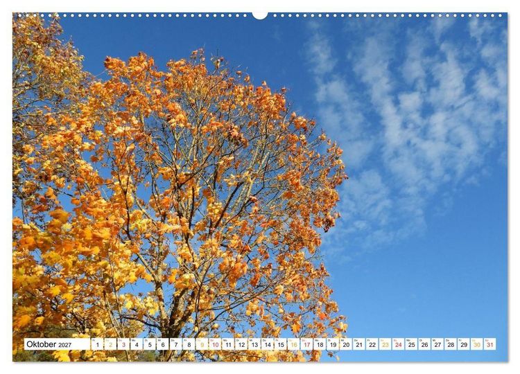 Produktbild: 12 Monate Natur (Wandkalender 2027 DIN A2 quer), CALVENDO Monatskalender