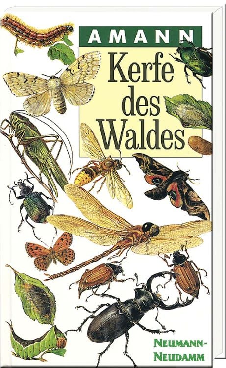 Produktbild: Kerfe des Waldes