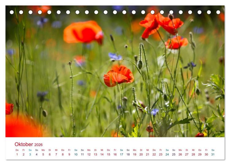 Produktbild: Mohnblumen (Tischkalender 2026 DIN A5 quer), CALVENDO Monatskalender