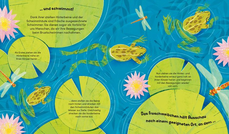 Produktbild: Aus klein wird gro&szlig;. So w&auml;chst ein Frosch
