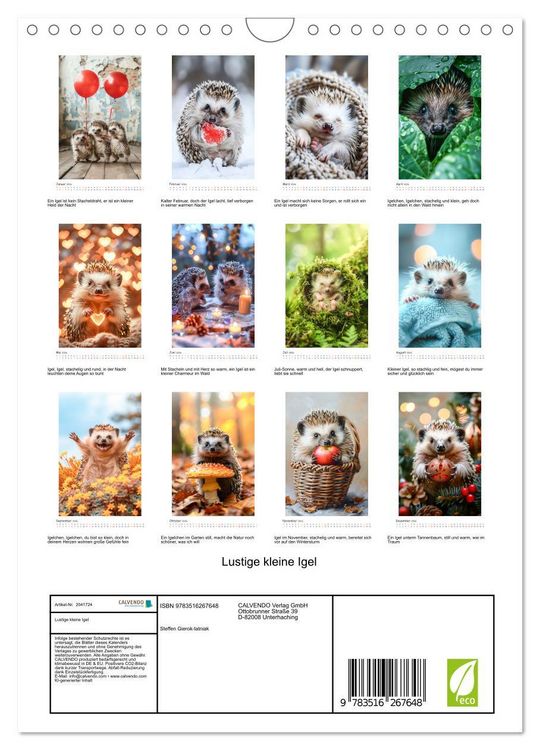 Produktbild: Lustige kleine Igel (Wandkalender 2026 DIN A4 hoch), CALVENDO Monatskalender