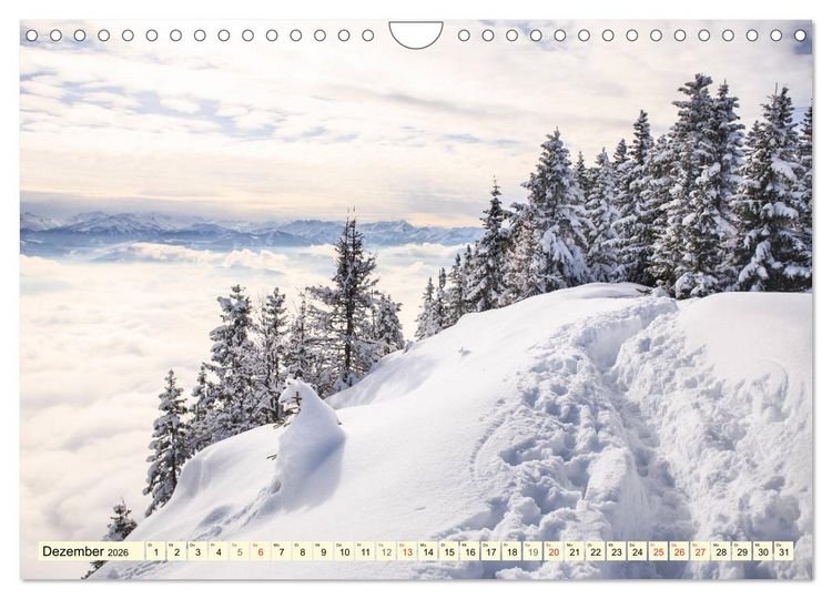 Produktbild: Mystische W&auml;lder - Zauber der Natur (Wandkalender 2026 DIN A4 quer), CALVENDO Monatskalender