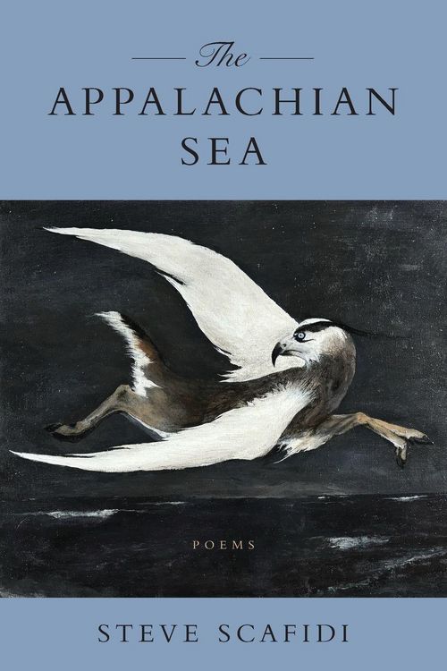 Produktbild: Appalachian Sea