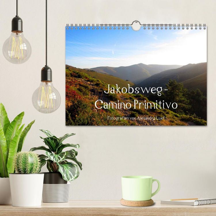 Produktbild: Jakobsweg - Camino Primitivo (Wandkalender 2026 DIN A4 quer), CALVENDO Monatskalender