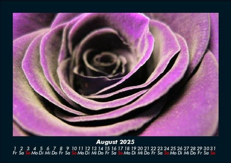 Produktbild: Rosen-Kalender 2025 Fotokalender DIN A5