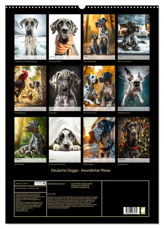 Produktbild: Deutsche Dogge - freundlicher Riese (Wandkalender 2026 DIN A2 hoch), CALVENDO Monatskalender