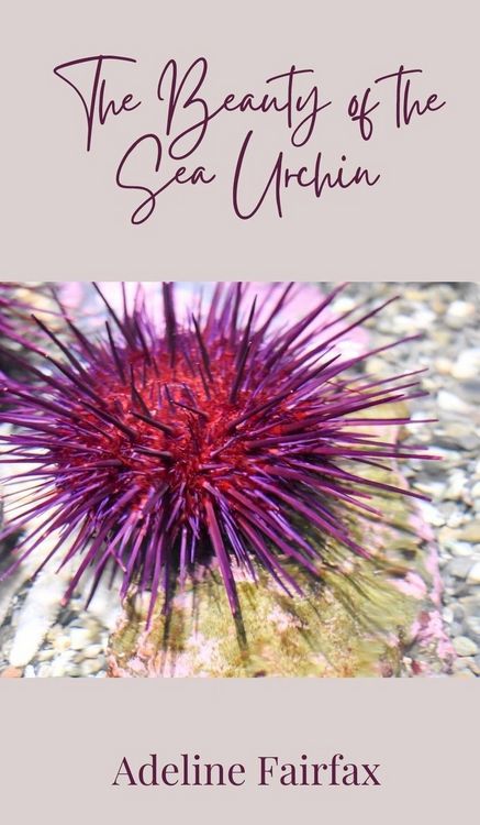 Produktbild: The Beauty of the Sea Urchin