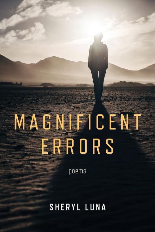 Produktbild: Magnificent Errors