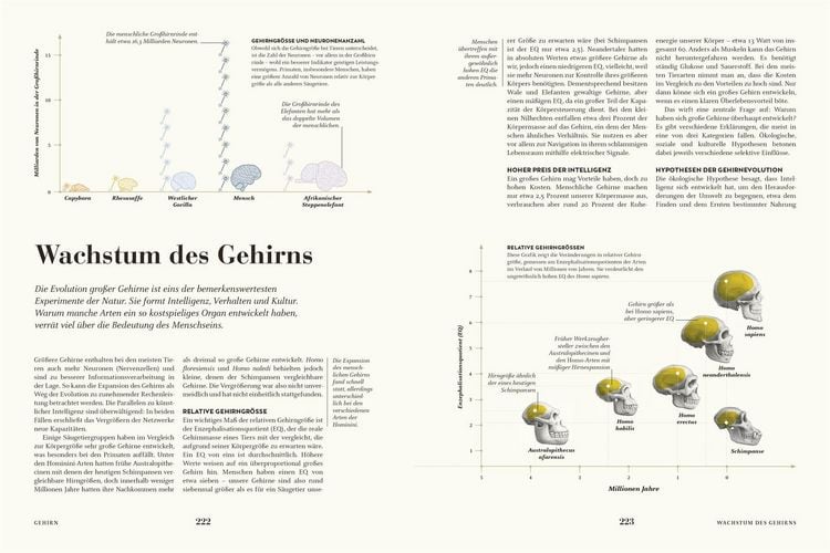 Produktbild: HUMANS. Der Mensch