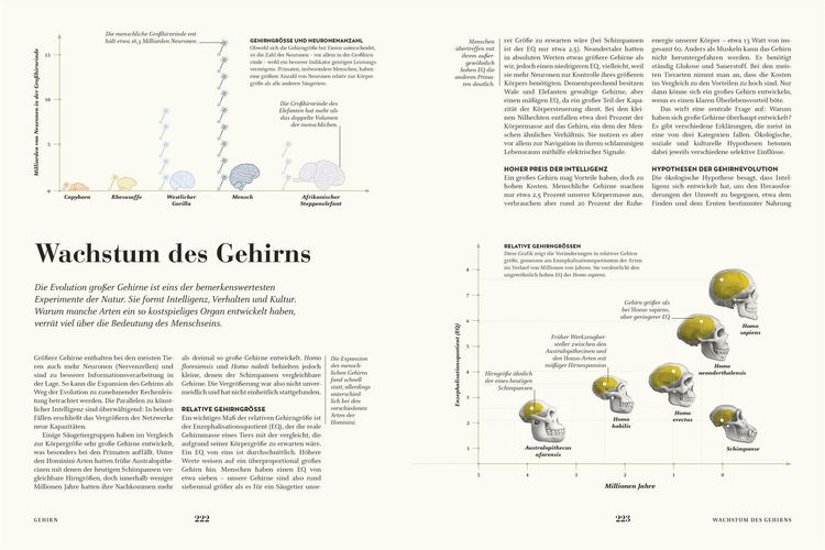 Produktbild: HUMANS. Der Mensch
