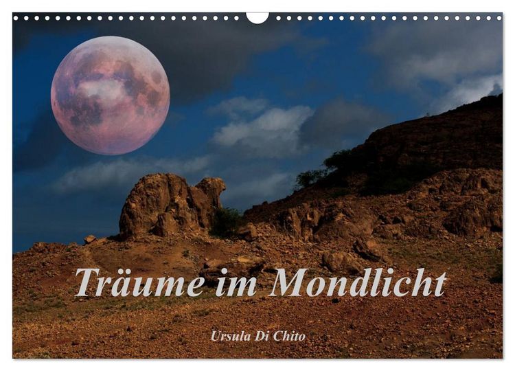 Produktbild: Tr&auml;ume im Mondlicht (Wandkalender 2026 DIN A3 quer), CALVENDO Monatskalender