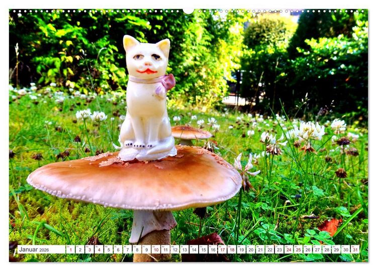 Produktbild: Pilz-Tiere (Wandkalender 2026 DIN A2 quer), CALVENDO Monatskalender