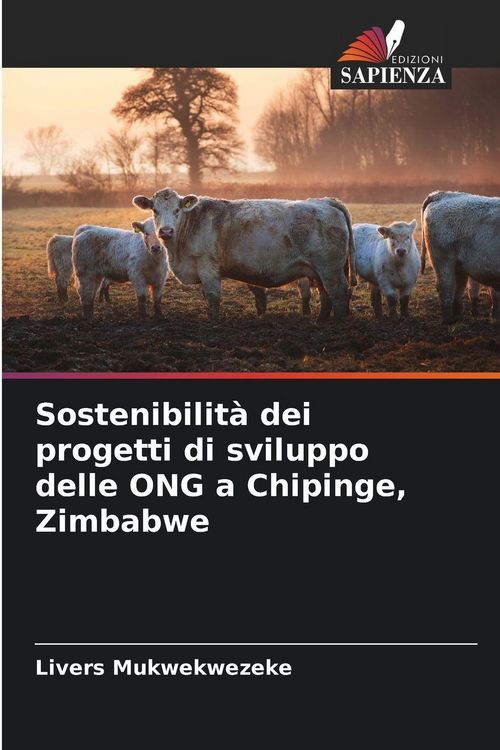 Produktbild: Sostenibilit&agrave; dei progetti di sviluppo delle ONG a Chipinge, Zimbabwe