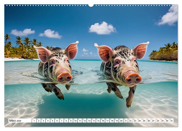 Produktbild: Schwimmende Schweine im Paradies (Wandkalender 2026 DIN A2 quer), CALVENDO Monatskalender