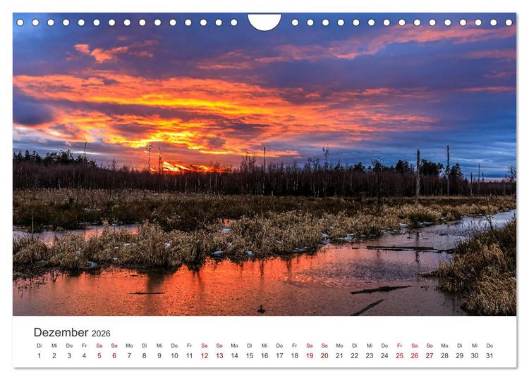 Produktbild: Naturjuwel Haspelmoor (Wandkalender 2026 DIN A4 quer), CALVENDO Monatskalender
