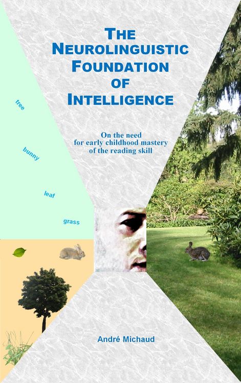 Produktbild: Neurolinguistic Foundation of Intelligence