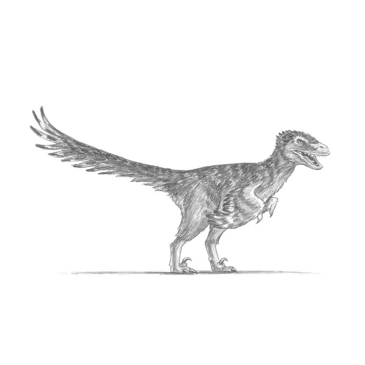 Produktbild: Die Kunst des Zeichnens f&uuml;r Kinder - Ich zeichne Dinosaurier