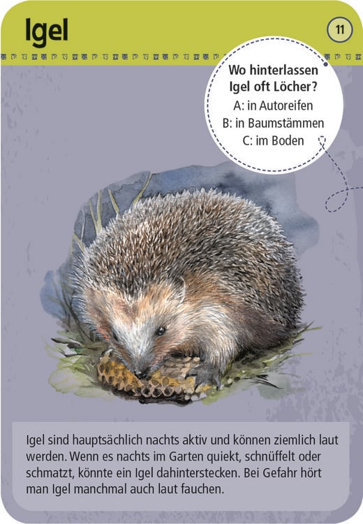 Produktbild: Expedition Natur 50 Tiere der Nacht