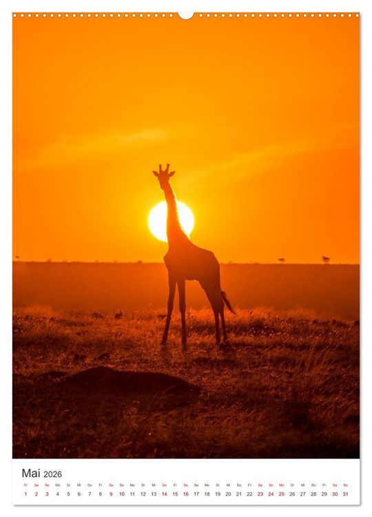 Produktbild: Giraffe - Bemerkenswerte Tiere. (hochwertiger Premium Wandkalender 2026 DIN A2 hoch), Kunstdruck in Hochglanz