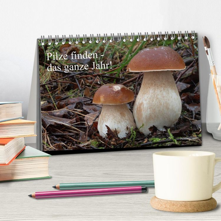 Produktbild: Pilze finden - das ganze Jahr! (Tischkalender 2026 DIN A5 quer), CALVENDO Monatskalender