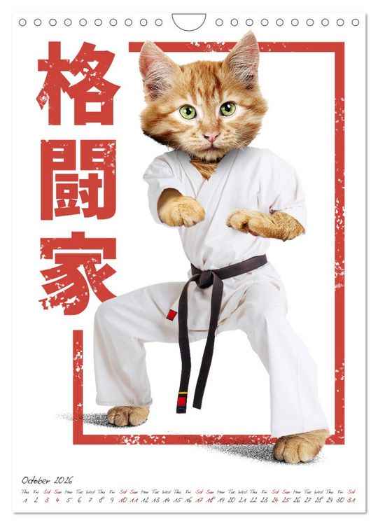 Produktbild: Crazy animal fighters (Wall Calendar 2026 DIN A4 portrait), CALVENDO 12 Month Wall Calendar