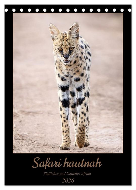 Produktbild: Safari hautnah - S&uuml;dliches und &ouml;stliches Afrika (Tischkalender 2026 DIN A5 hoch), CALVENDO Monatskalender