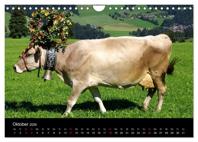 Produktbild: Almabtrieb in Tirol (Wandkalender 2026 DIN A4 quer), CALVENDO Monatskalender