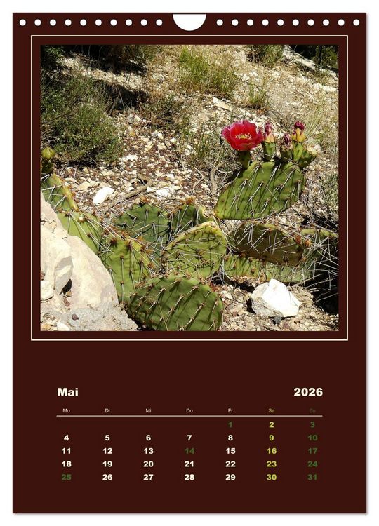 Produktbild: Wilde Kakteen Amerikas (Wandkalender 2026 DIN A4 hoch), CALVENDO Monatskalender