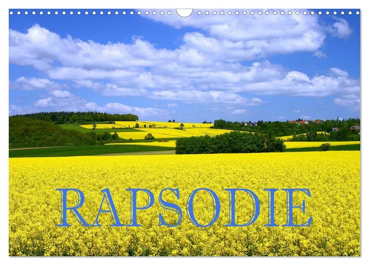 Produktbild: Rapsodie (Wandkalender 2026 DIN A3 quer), CALVENDO Monatskalender