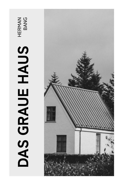 Produktbild: Das graue Haus