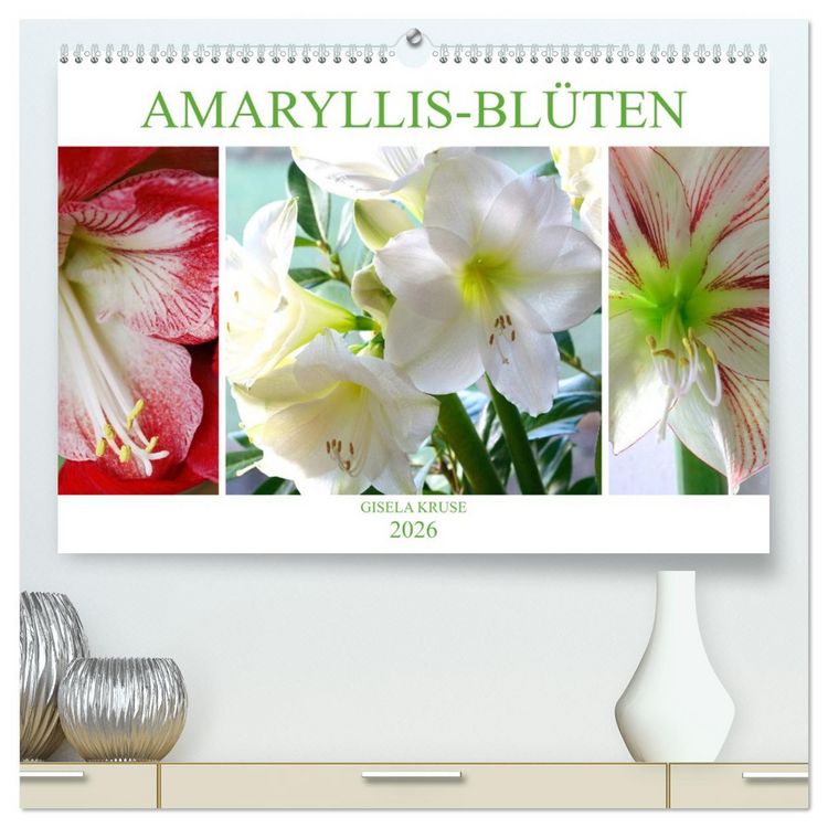 Produktbild: Amaryllis-Bl&uuml;ten (hochwertiger Premium Wandkalender 2026 DIN A2 quer), Kunstdruck in Hochglanz