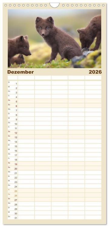 Produktbild: Familienplaner 2026 - Polarfuchs-Welpen mit 5 Spalten (Wandkalender, 21 x 45 cm) CALVENDO