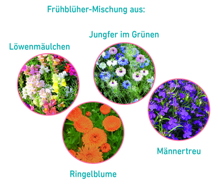 Produktbild: Anzuchtset Gie&szlig;kanne Fr&uuml;hlingsgr&uuml;&szlig;e