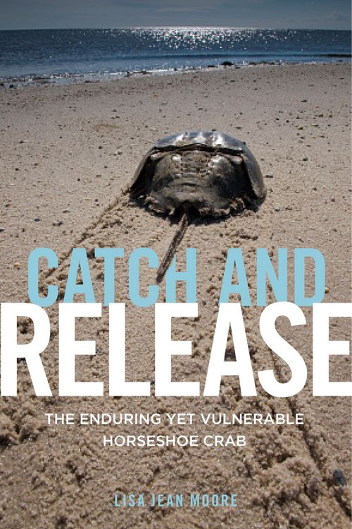 Produktbild: Catch and Release