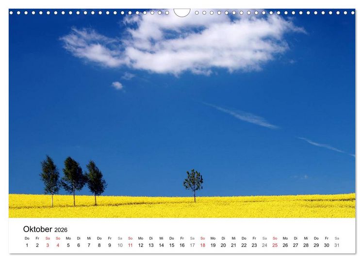Produktbild: Rapsodie (Wandkalender 2026 DIN A3 quer), CALVENDO Monatskalender