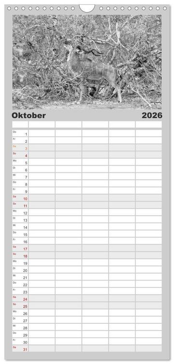Produktbild: Familienplaner 2026 - Afrika Schwarz - Weiss mit 5 Spalten (Wandkalender, 21 x 45 cm) CALVENDO