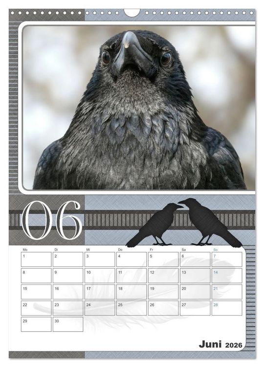 Produktbild: Kr&auml;hen - Clever notiert! Mit K&ouml;pfchen durchs ganze Jahr (Wandkalender 2026 DIN A3 hoch), CALVENDO Monatskalender
