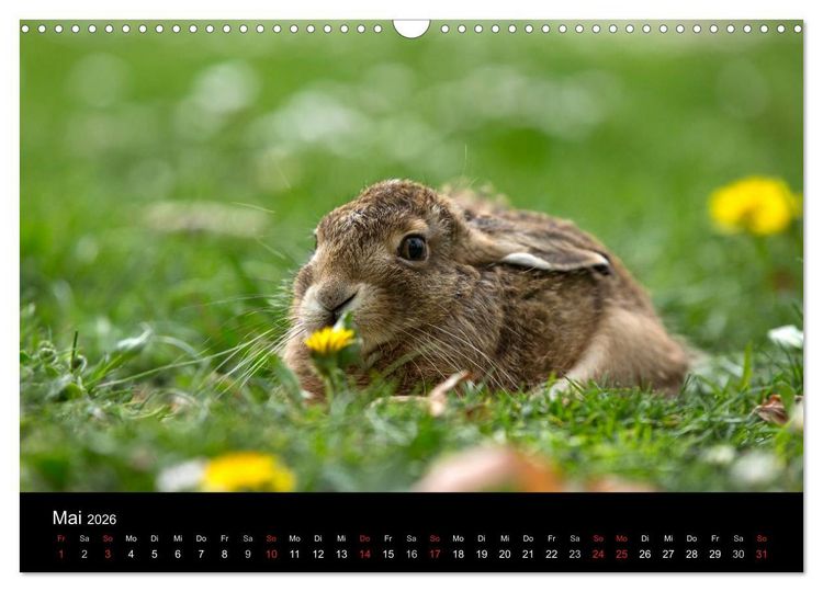 Produktbild: Wilde Heimat (Wandkalender 2026 DIN A3 quer), CALVENDO Monatskalender