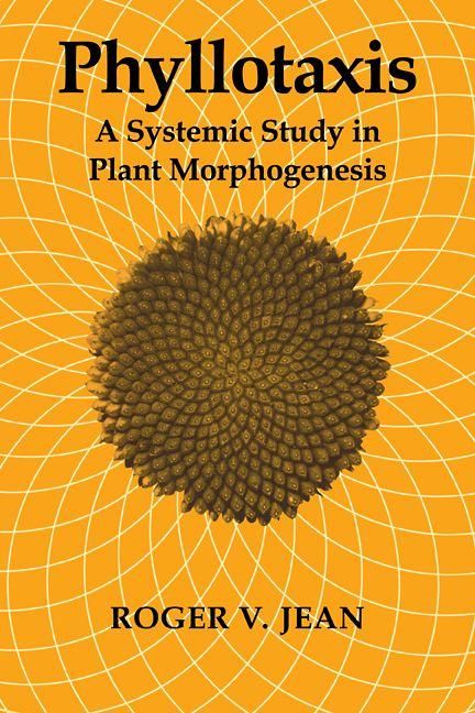 Produktbild: Phyllotaxis