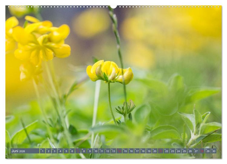 Produktbild: Die Natur hautnah (hochwertiger Premium Wandkalender 2026 DIN A2 quer), Kunstdruck in Hochglanz