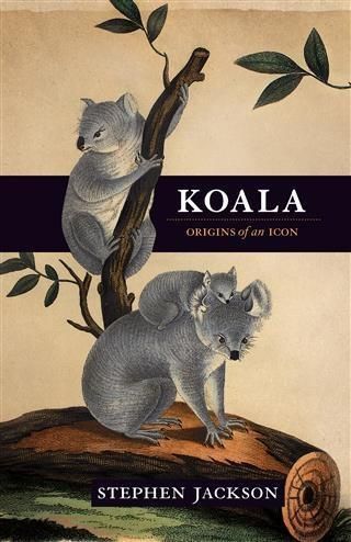 Produktbild: Koala