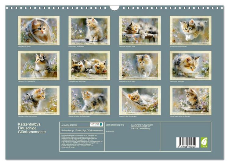 Produktbild: Katzenbabys. Flauschige Gl&uuml;cksmomente (Wandkalender 2027 DIN A3 quer), CALVENDO Monatskalender