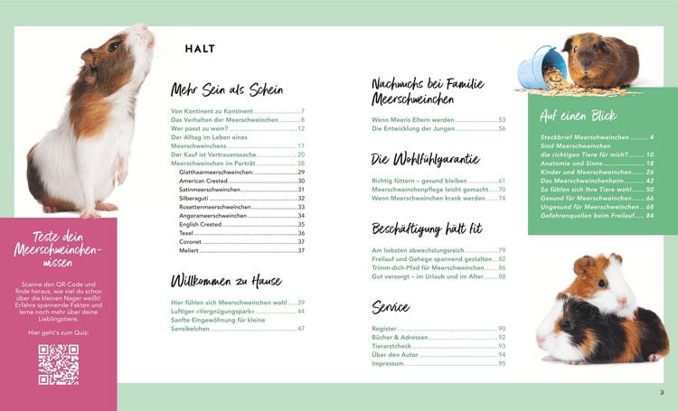 Produktbild: Meerschweinchen