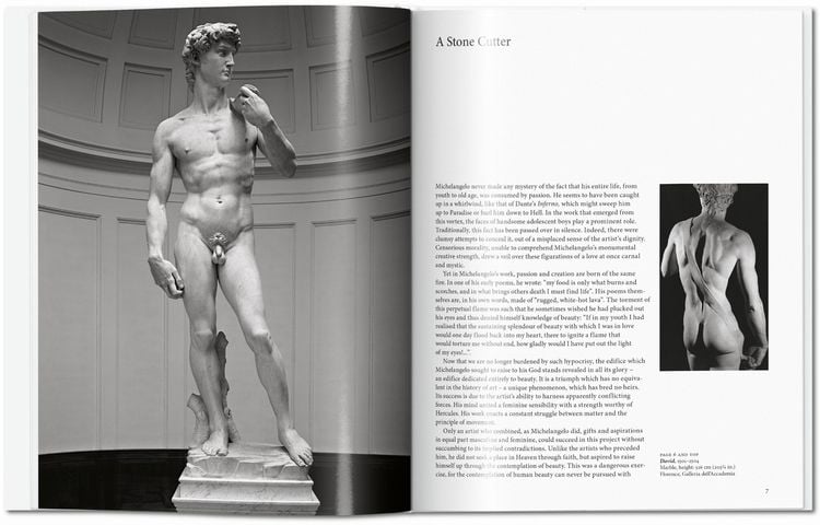 Produktbild: Michelangelo