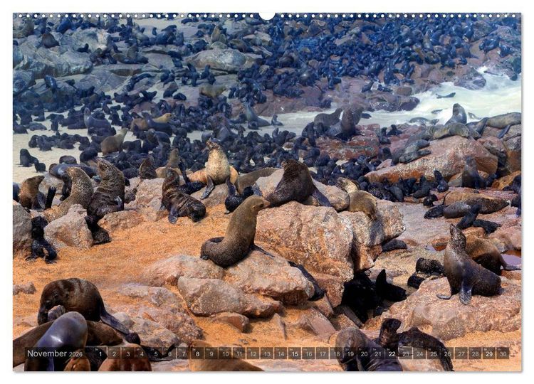 Produktbild: Namibia - Die Tierwelt (Wandkalender 2026 DIN A2 quer), CALVENDO Monatskalender