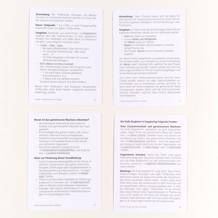 Produktbild: Schulen agil entwickeln