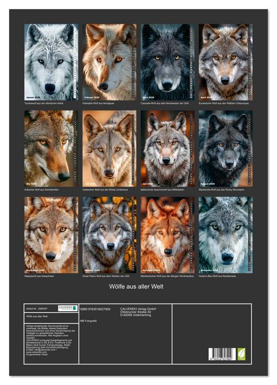 Produktbild: W&ouml;lfe aus aller Welt (Wandkalender 2026 DIN A2 hoch), CALVENDO Monatskalender