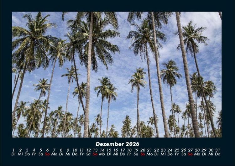 Produktbild: Palmentraum 2026 Fotokalender DIN A4
