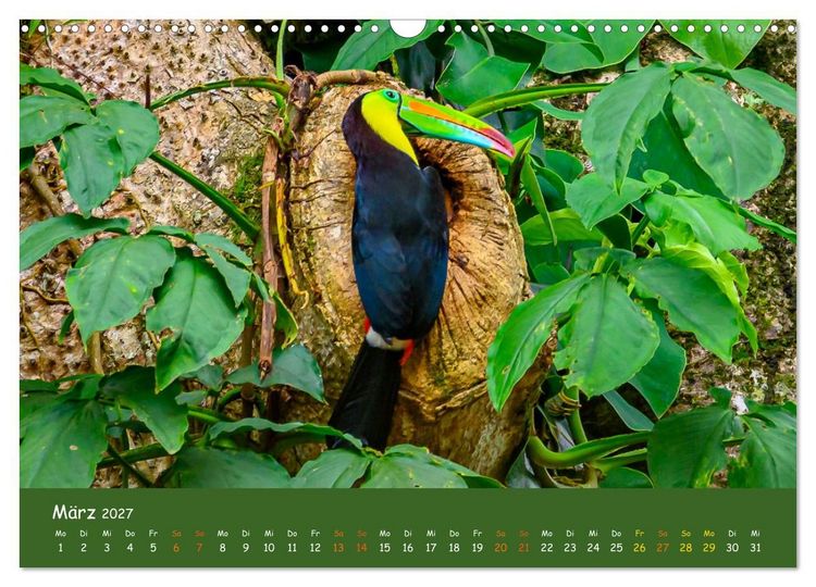 Produktbild: Costa Rica - Naturparadies zwischen Karibik und Pazifik (Wandkalender 2027 DIN A3 quer), CALVENDO Monatskalender