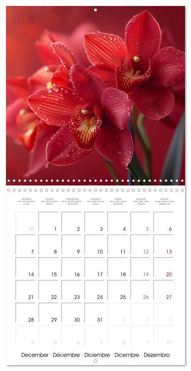 Produktbild: colorful orchid family planner (Wall Calendar 2026 12 &times; 12 Inch) CALVENDO 12 Month Wall Calendar